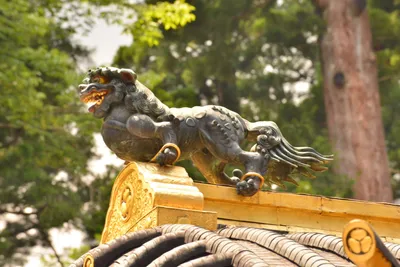 DSC_3876 (Large).JPG